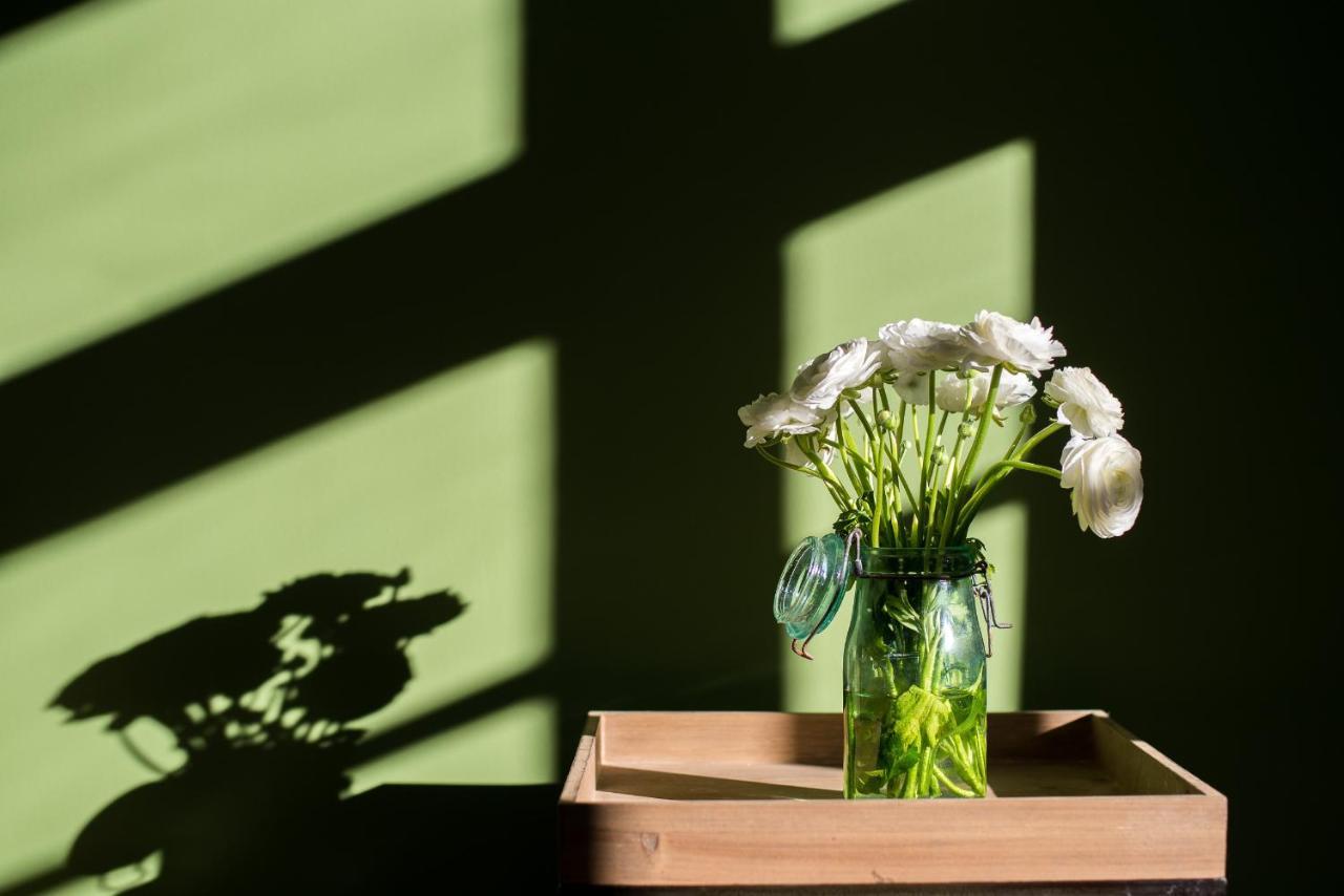 カルカソンヌ Sur Le Quai Bed & Breakfast エクステリア 写真